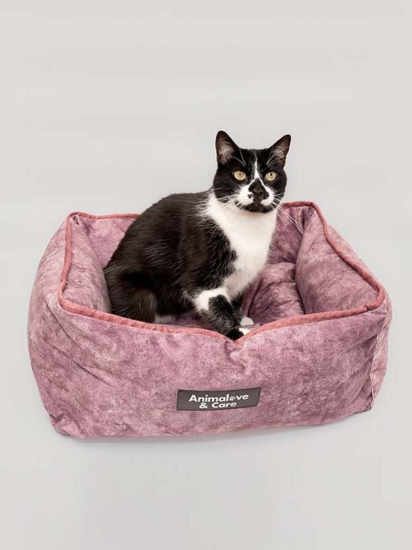 Cube bed