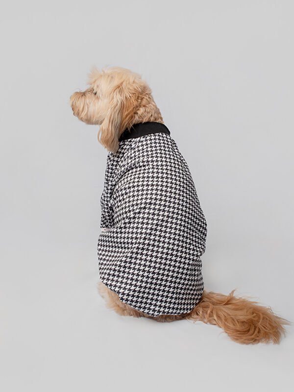 ⁠T-Shirts for dogs and cats